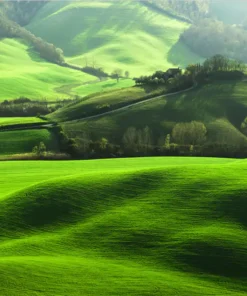 Tranh Dán Tường Cao Cấp